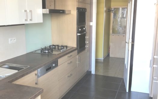 Grenoble Foch Très beau T4 plein sud