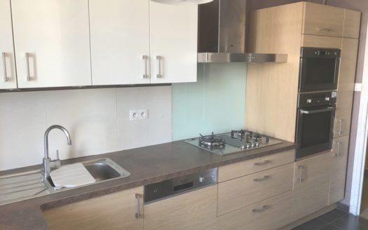 Grenoble Foch Très beau T4 plein sud