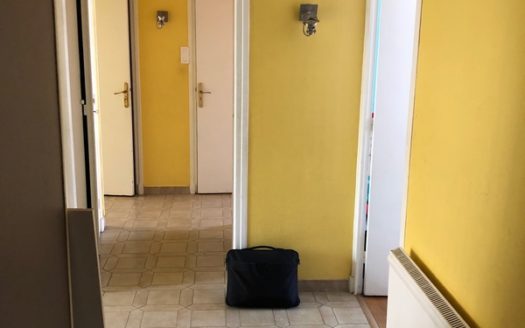 Grenoble Foch Très beau T4 plein sud