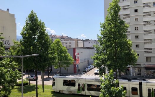 Grenoble Foch Très beau T4 plein sud