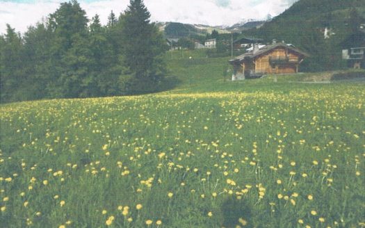 EXCEPTIONNEL – MEGÈVE Beau terrain avec permis purgé vue Mont Blanc