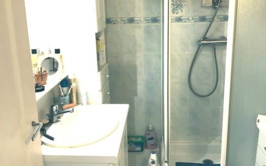 Grenoble – Gare Beau F3/4 avec vue Bastille