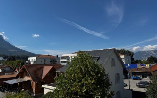 Beau T3/4 au calme avec terrasse et vue
