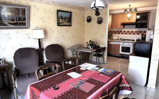 Beau T3/4 au calme avec terrasse et vue