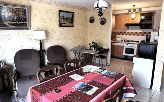 Beau T3/4 au calme avec terrasse et vue