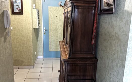 Beau T3/4 au calme avec terrasse et vue