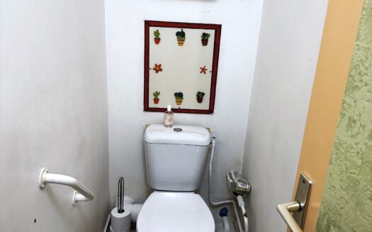 Beau T3/4 au calme avec terrasse et vue