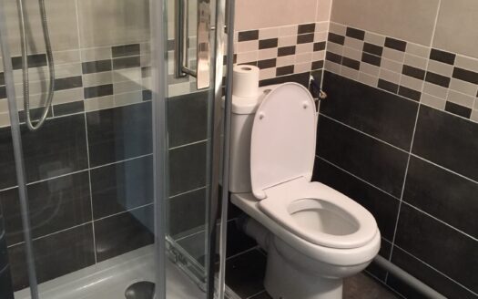 Très beau local de 50m² centre historique